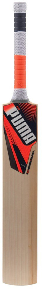 Puma evospeed 1 top cricket bat