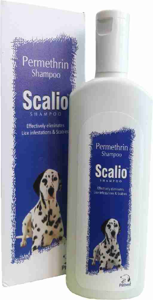 Shampoo for shop scabies in dogs