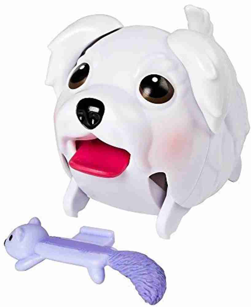 Chubby maltese store