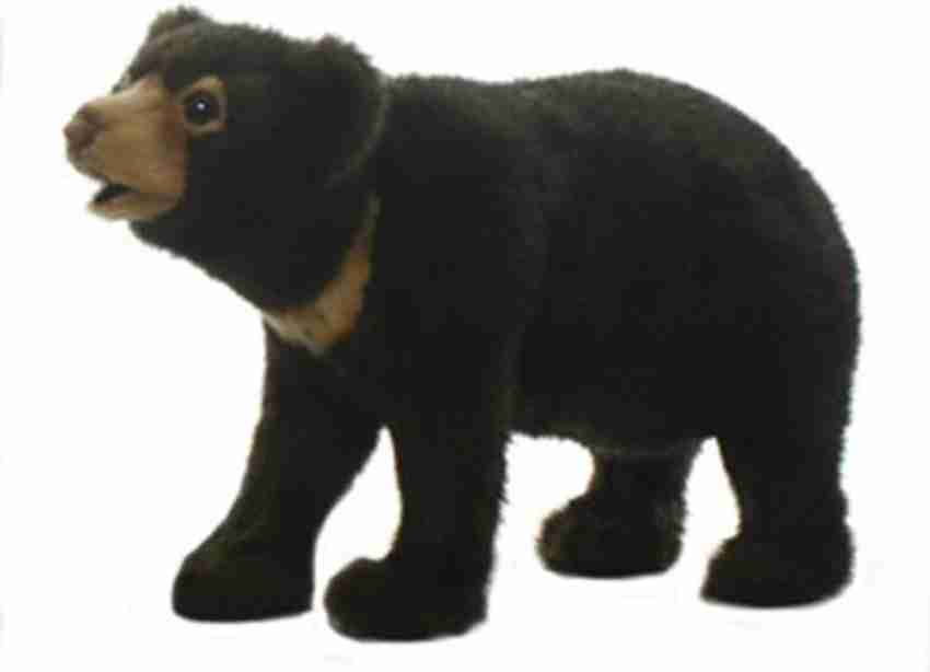 Sun discount bear plush