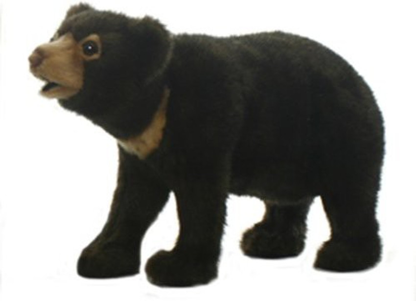 Sun 2025 bear plush