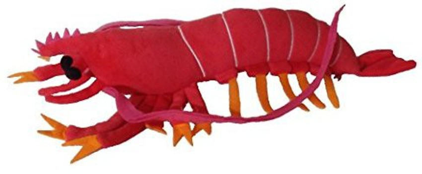 Prawn hot sale soft toy