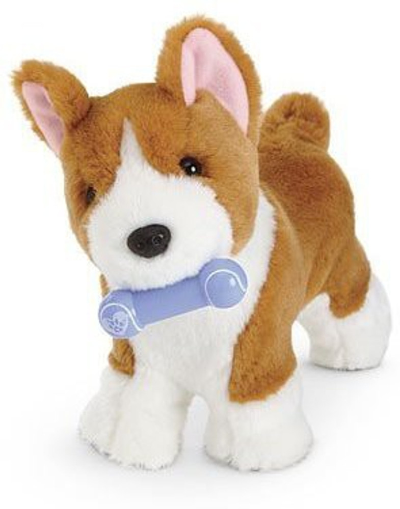 American girl corgi 2025