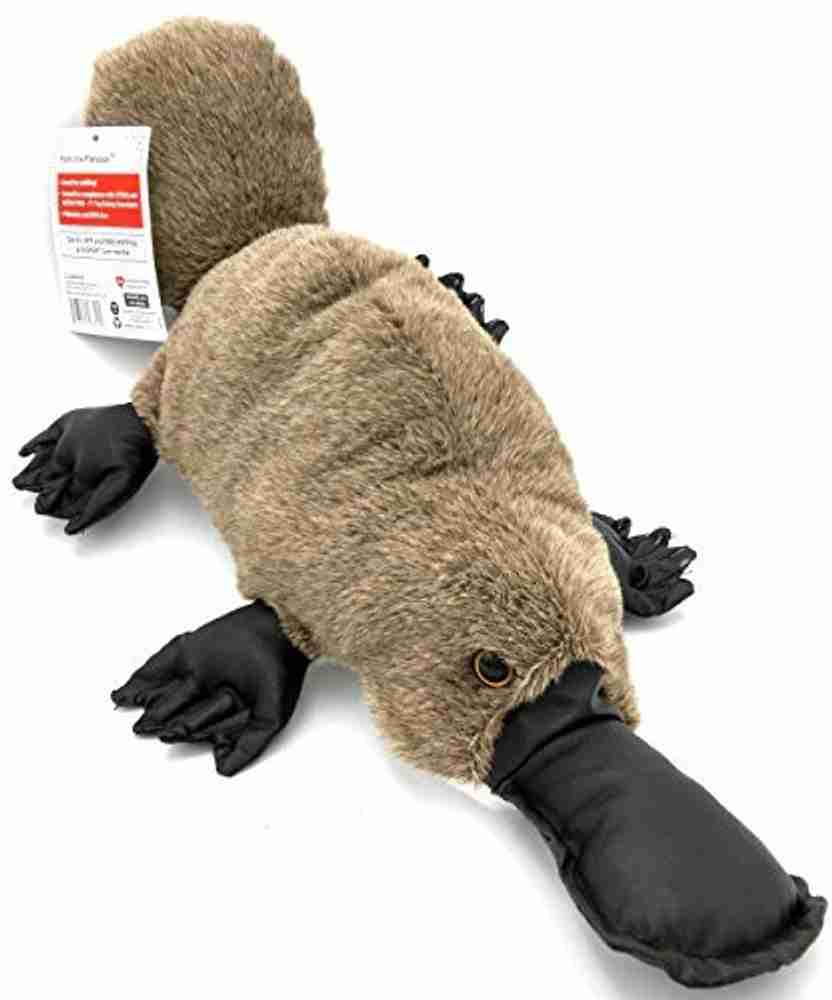 VIAHART Duck Billed Platypus Stuffed Animal 10 inch Duck