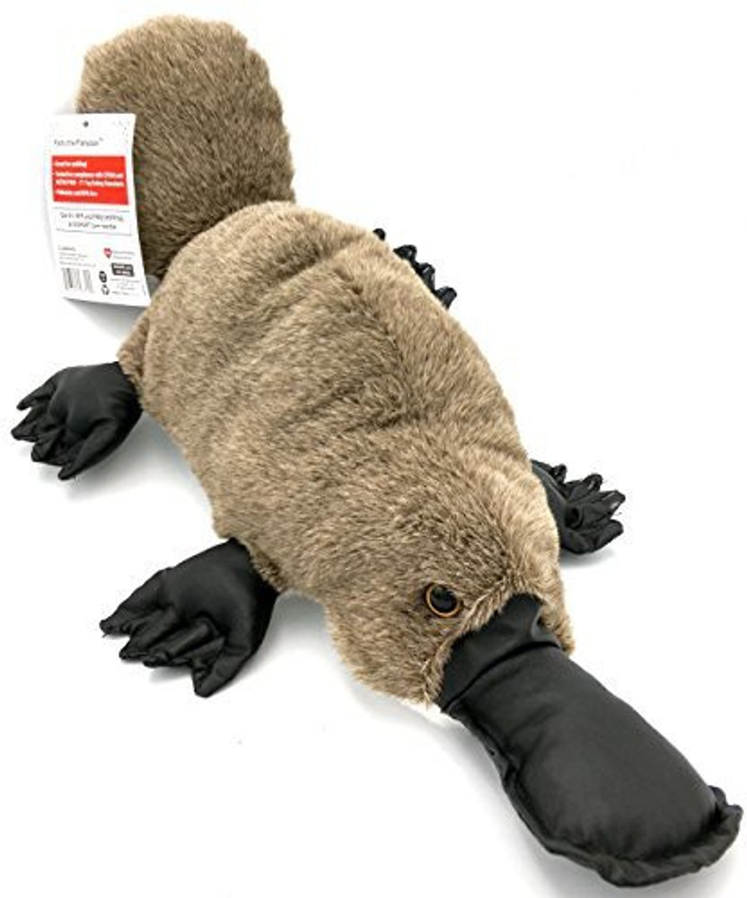 VIAHART Duck Billed Platypus Stuffed Animal 10 inch Duck Billed Platypus Stuffed Animal Buy Platypus toys in India. shop for VIAHART products in India. Flipkart
