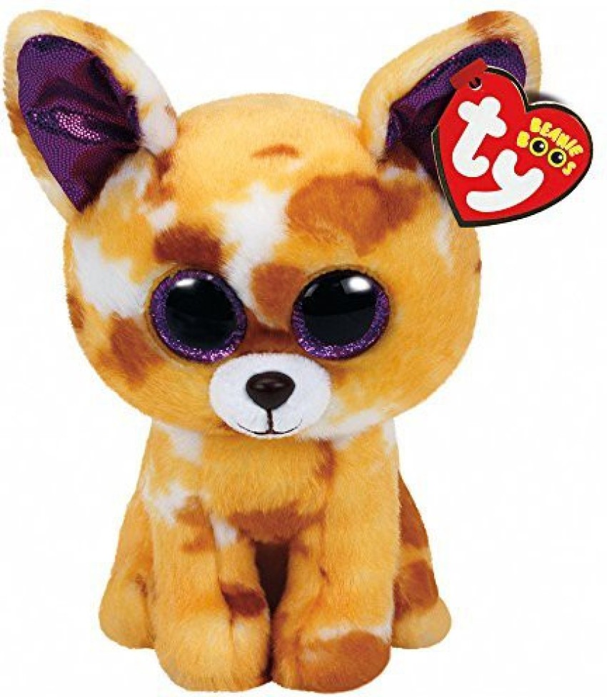 Ty beanie 2025 boos chihuahua