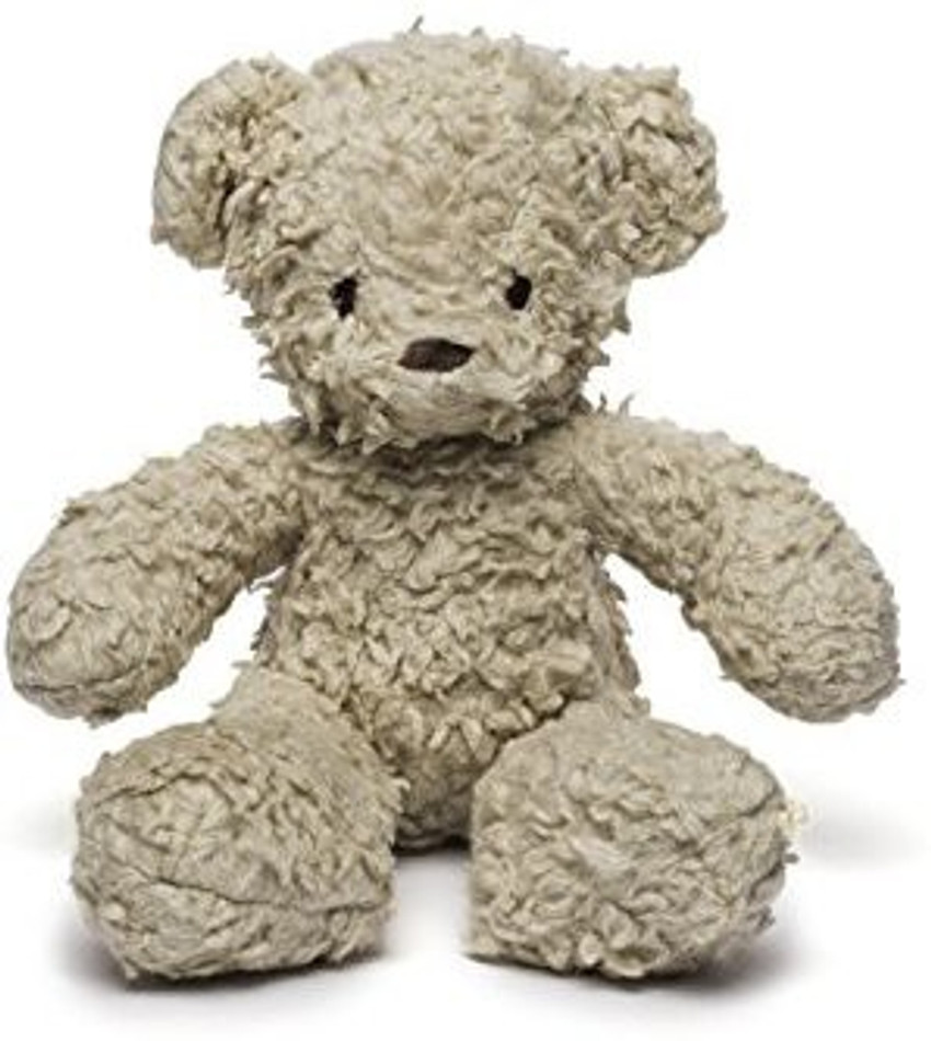 Organic teddy 2025