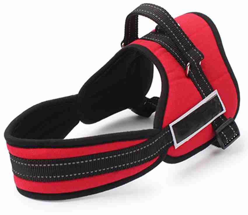 Ez dog hot sale harness