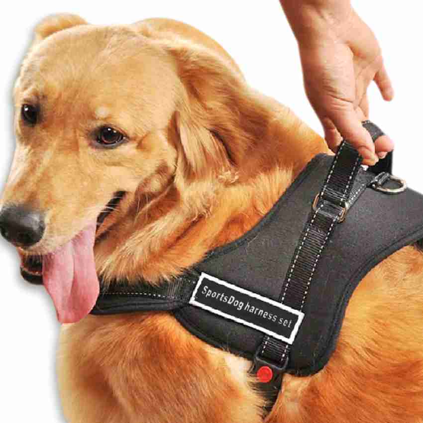 Ez best sale dog harness