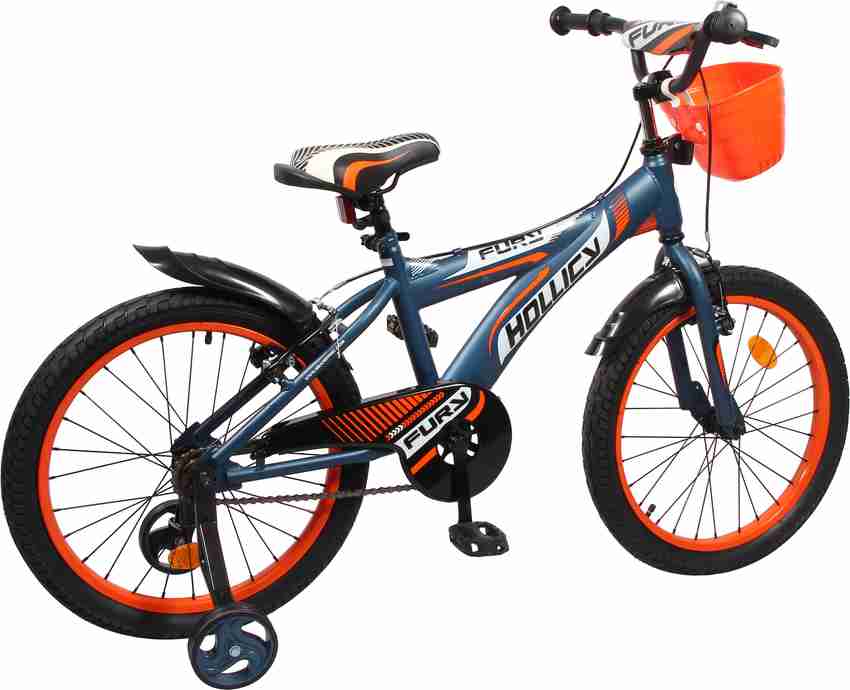 Hollicy bicycle online