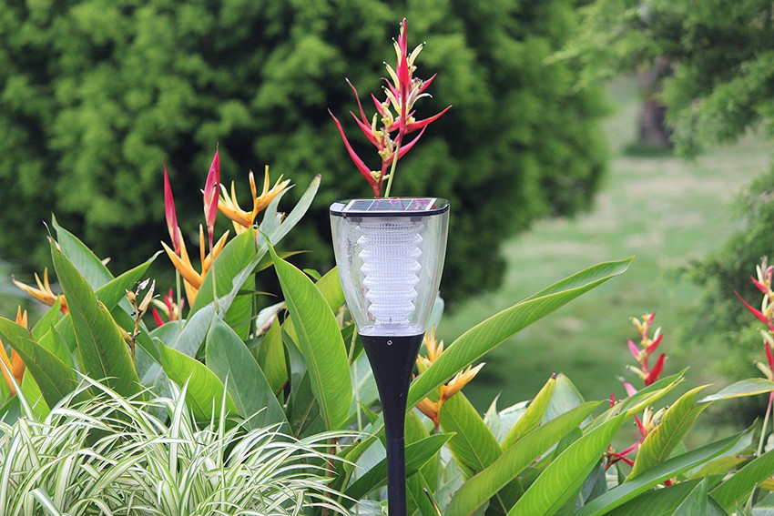 Tapetum solar lights best sale
