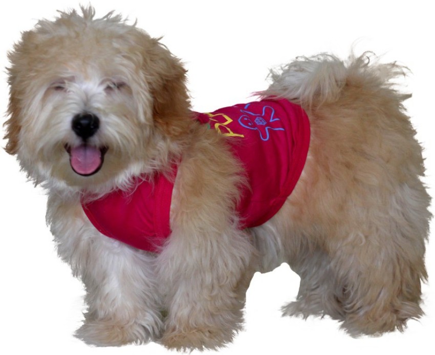 Buy Soccer Dog Shirt Online In India -  India