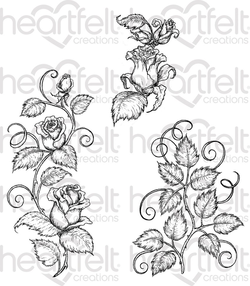 rose vines drawing