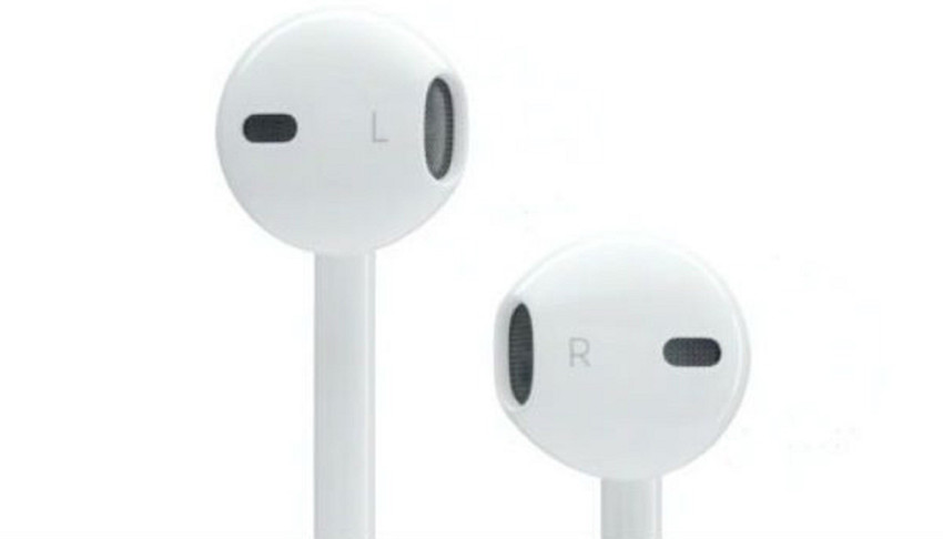 Blue bird earphones store