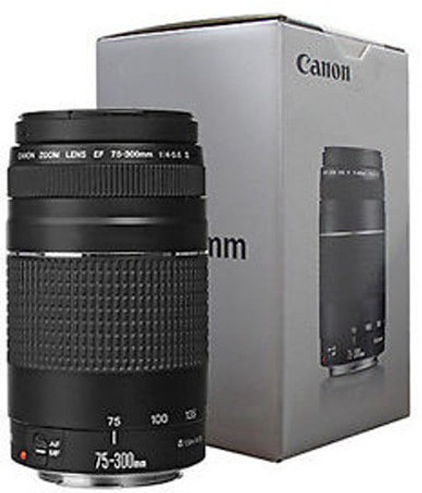 ☆超極上美品☆Canon キャノン EF75-300mm F4-5.6 Ⅱ