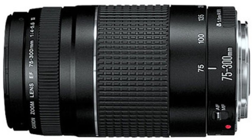 Canon EF 75-300mm f/4-5.6 iii Telephoto Zoom Lens