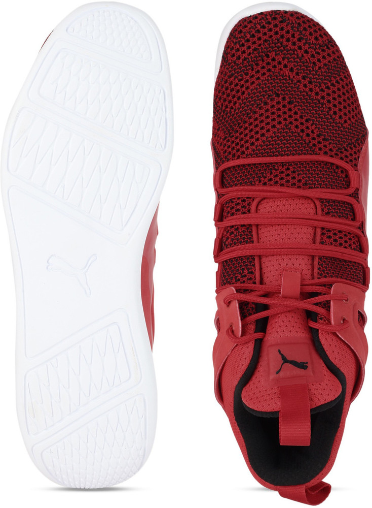 Puma ferrari discount sf evo cat