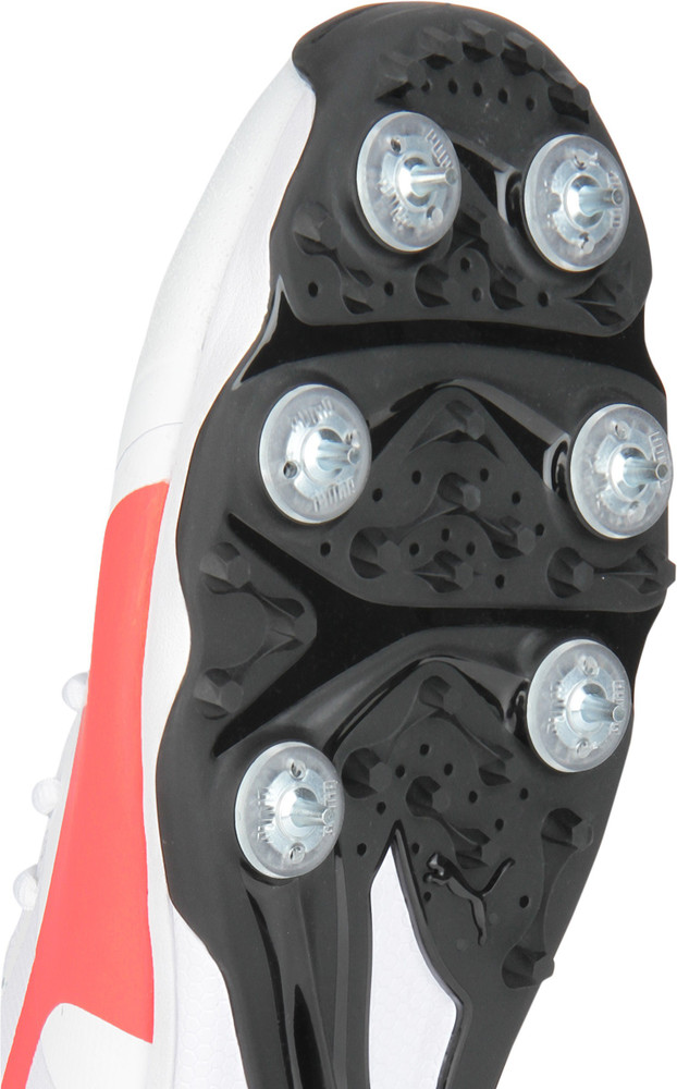 PUMA evoSPEED 360.1 Cricket Spike Cricket Shoes For Men Buy Puma