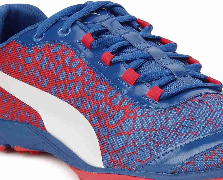 Puma evospeed 2025 haraka