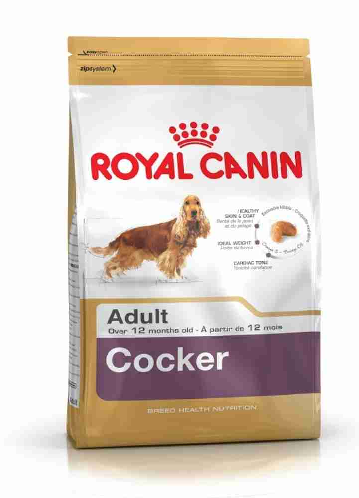 Royal Canin Cocker Spaniel Adult 3 kg Dry Adult Dog Food Price in