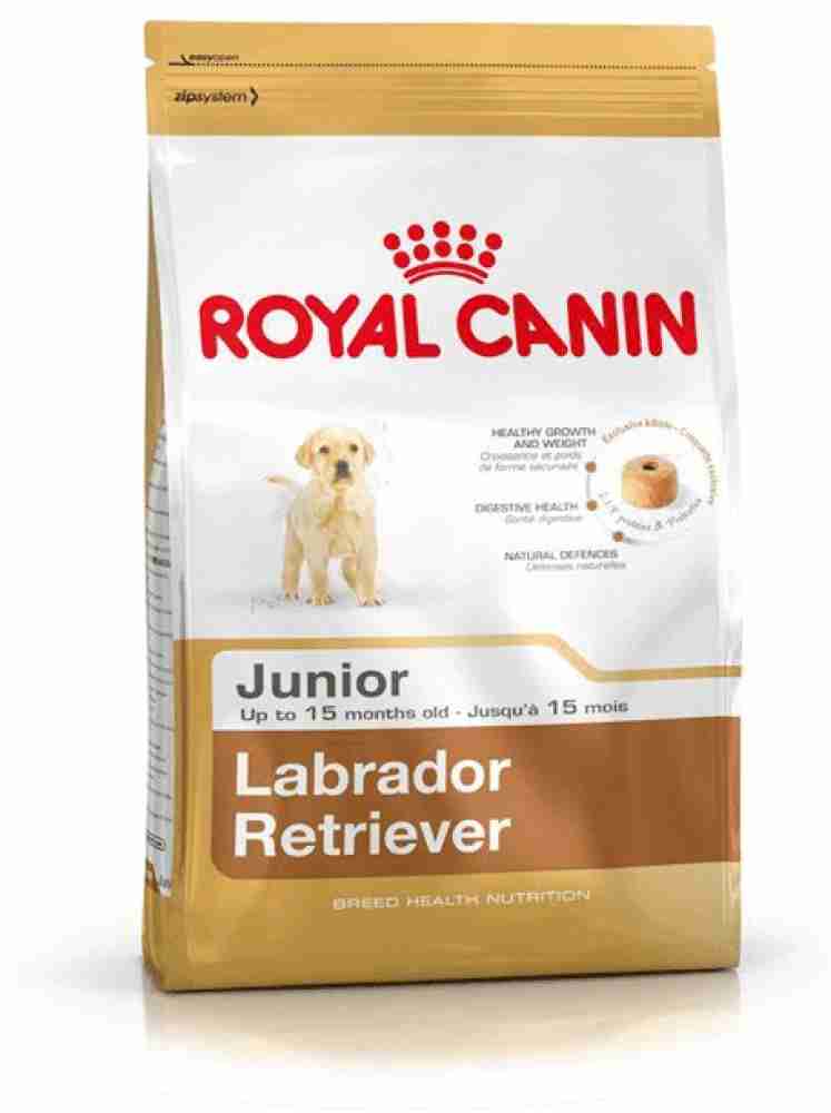 Labrador puppy shop starter food