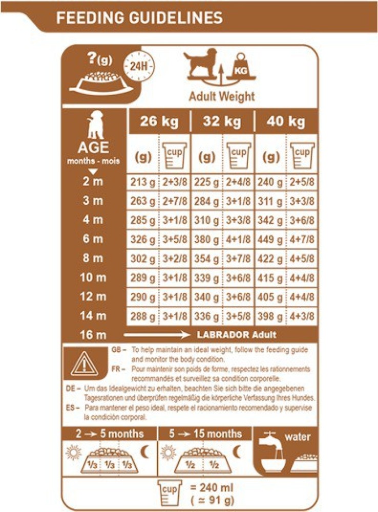 Royal canin store feeding guide labrador