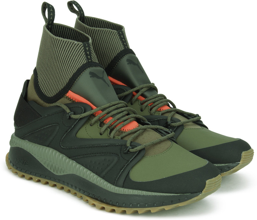 Puma kori 2025