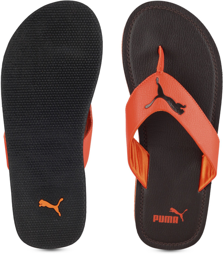 PUMA Men Flash Cat IDP Slippers Buy Chocolate Brown KOI Color PUMA Men Flash Cat IDP Slippers Online at Best Price Shop Online for Footwears in India Flipkart