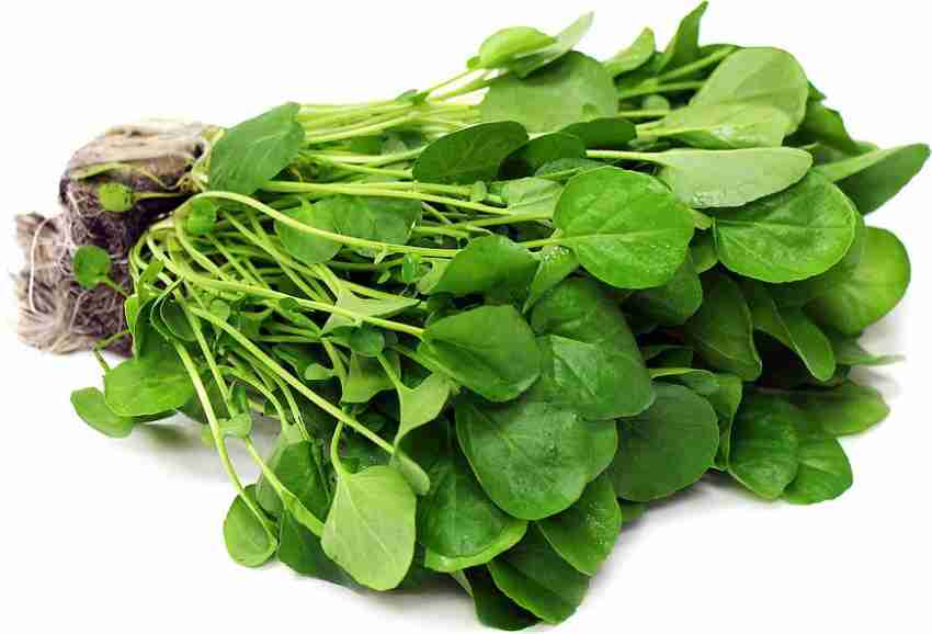 Buy National Gardens Upland Cress Herb Seeds Online at Best Price