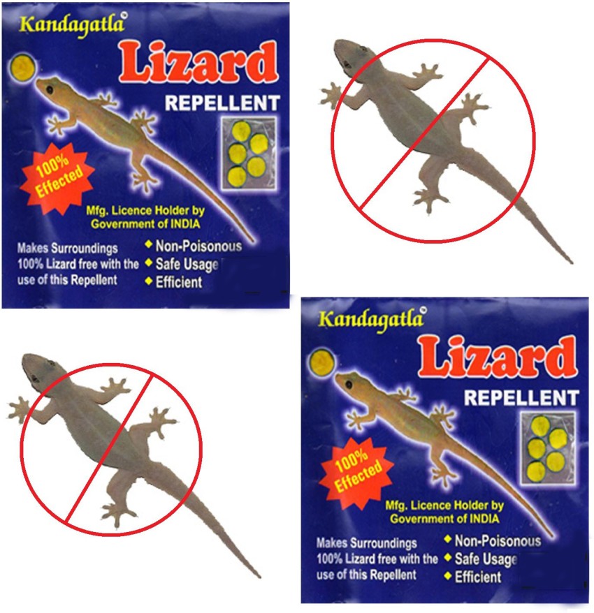 Hunting Hobby Lizard Repellent Herbal Organic Non Poisonous Ready To Use  Cubes (Pack Of 2) … - Buy Baby Care Products in India