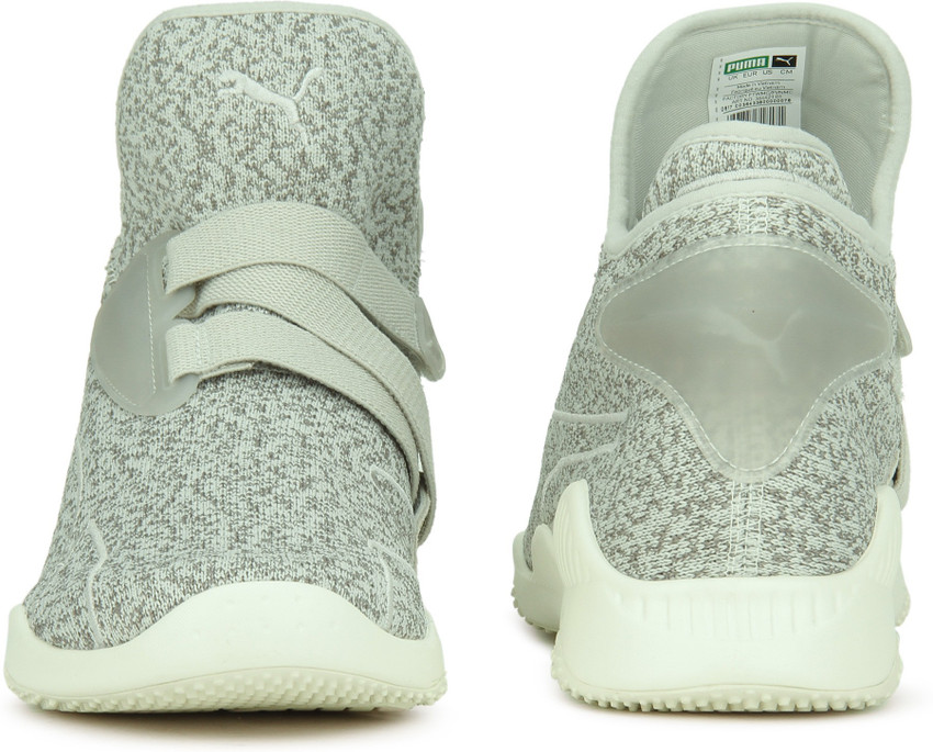 Puma sale mostro sirsa
