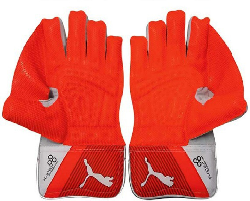 Puma evo 3 wicket keeping gloves online