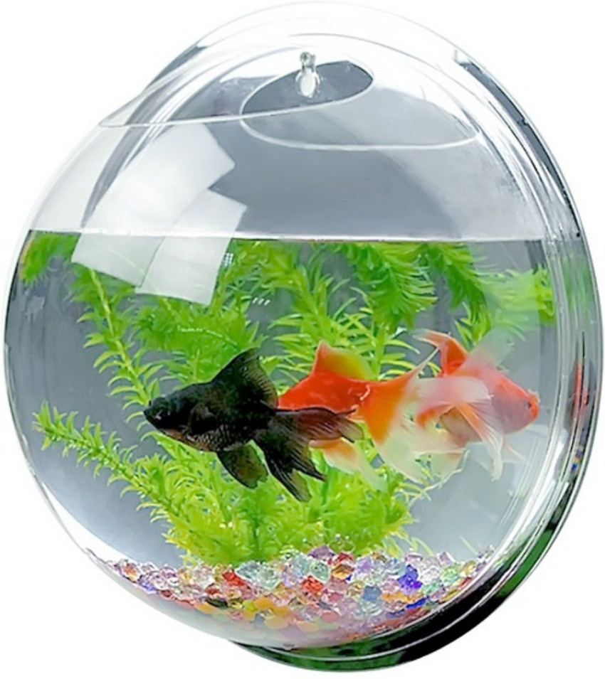 Bowl fish tank decorations outlet