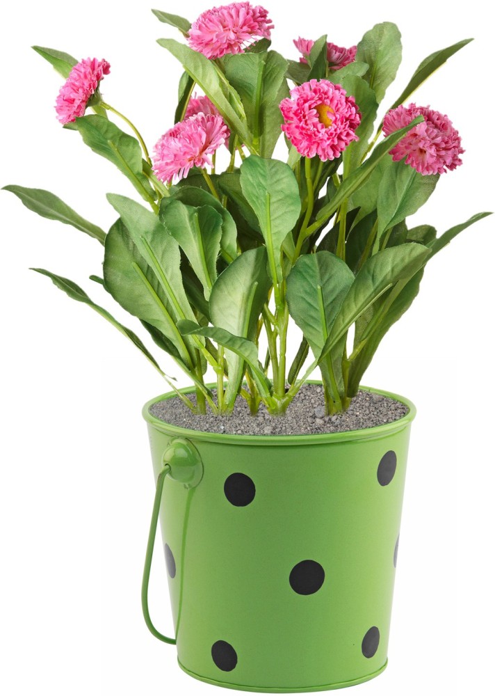 Polka Dot Buckets - Set Of 6