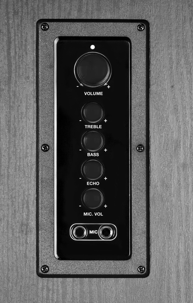 Mitashi tower speaker 90fur hot sale bt