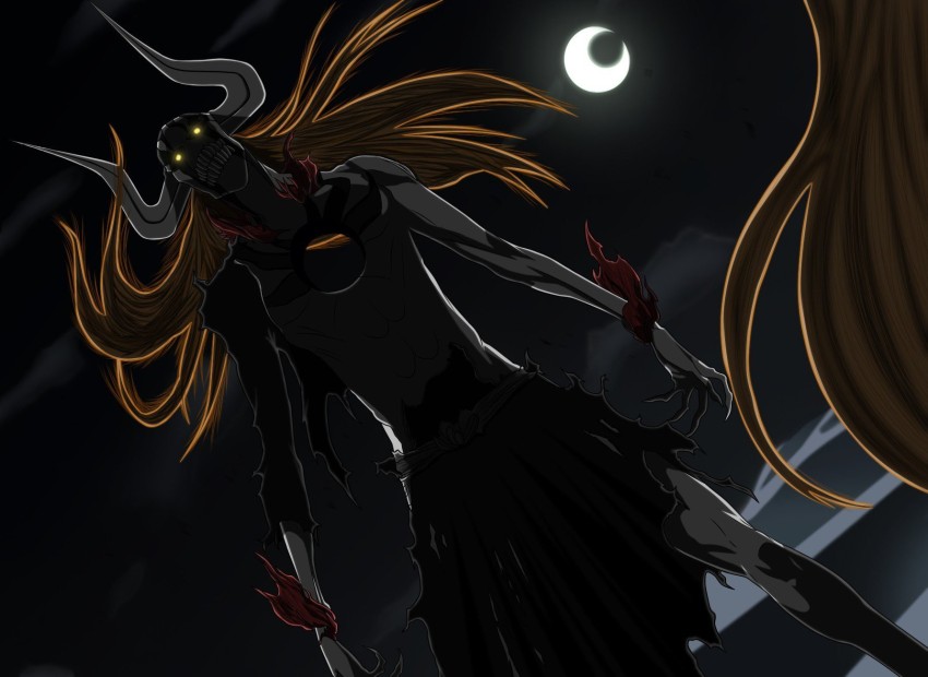 Ichigo Vasto Lorde !  Bleach anime ichigo, Bleach anime, Bleach pictures