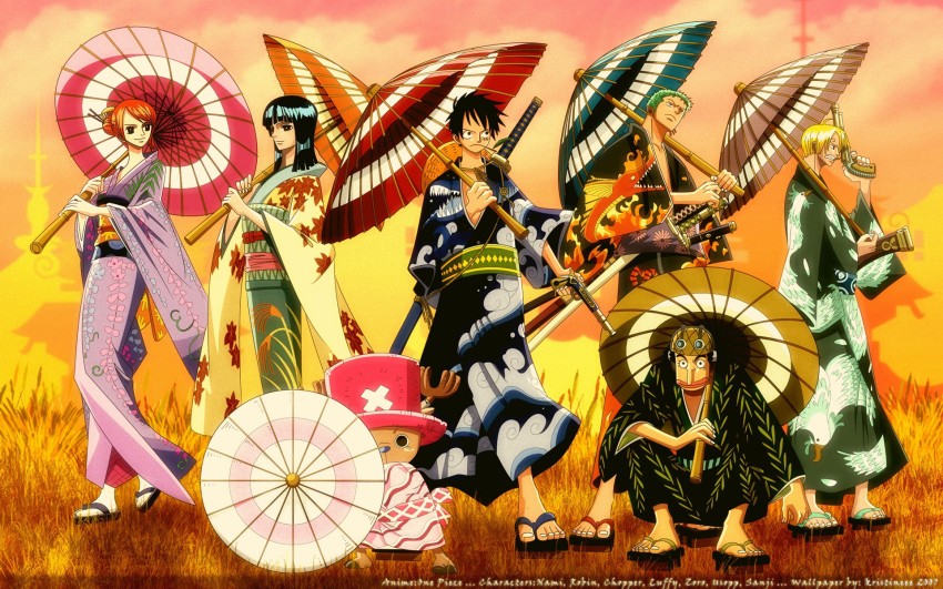 Shop KIDS One Piece Anime Clothes | Orange Bison Co.