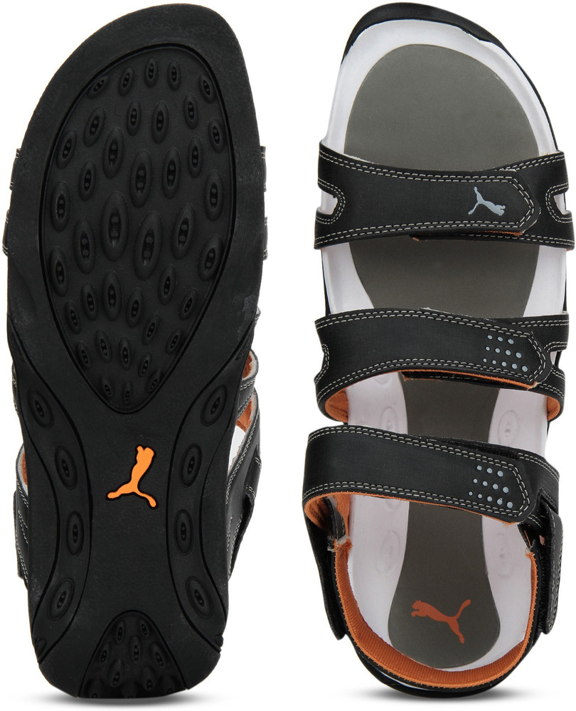 Puma aripon top