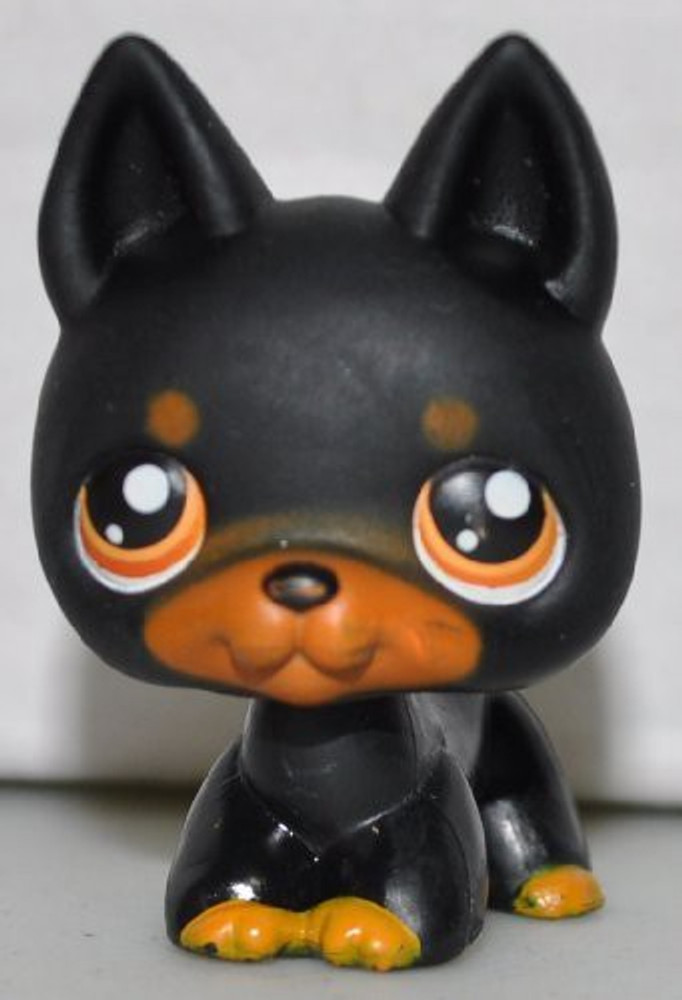 Doberman shop store