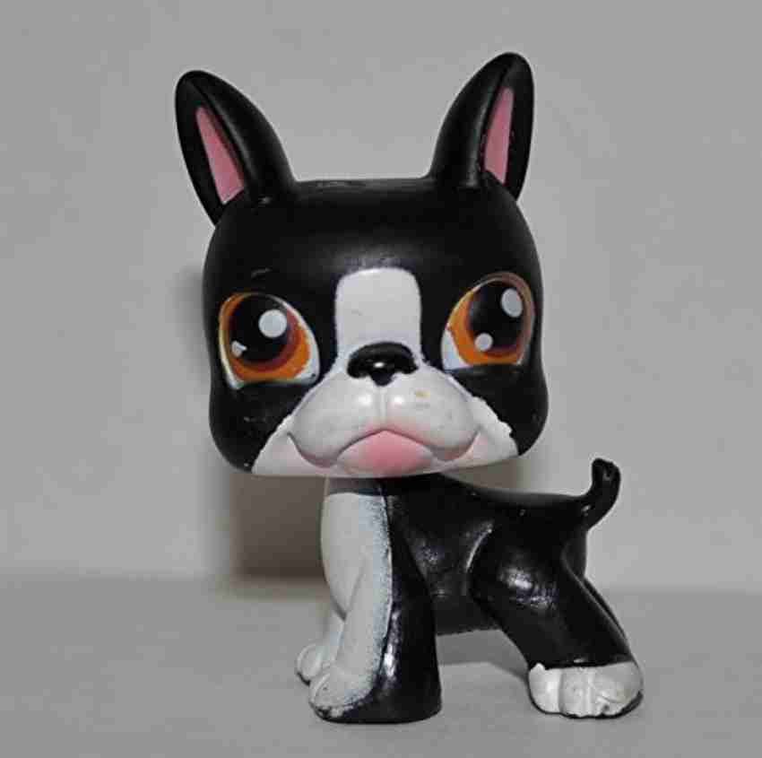 Littlest pet shop boston terrier online