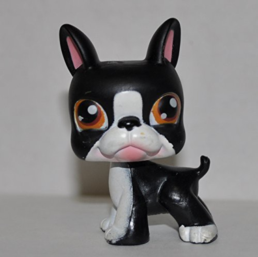 Littlest pet shop boston terrier new arrivals