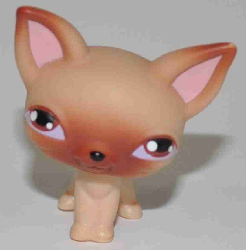 Littlest Pet Shop Chihuahua 1 Tan Brown Eyed Retired