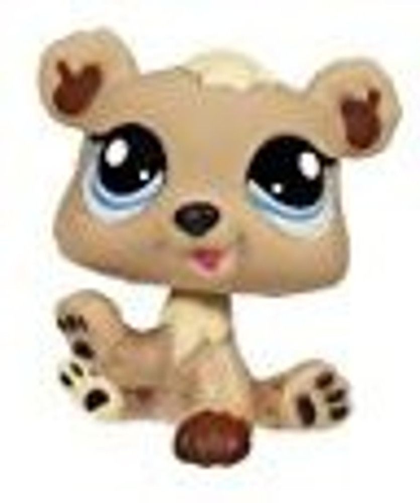 Littlest Pet Shop Bear Cub 1555 Bear Cub 1555 . Buy Bear