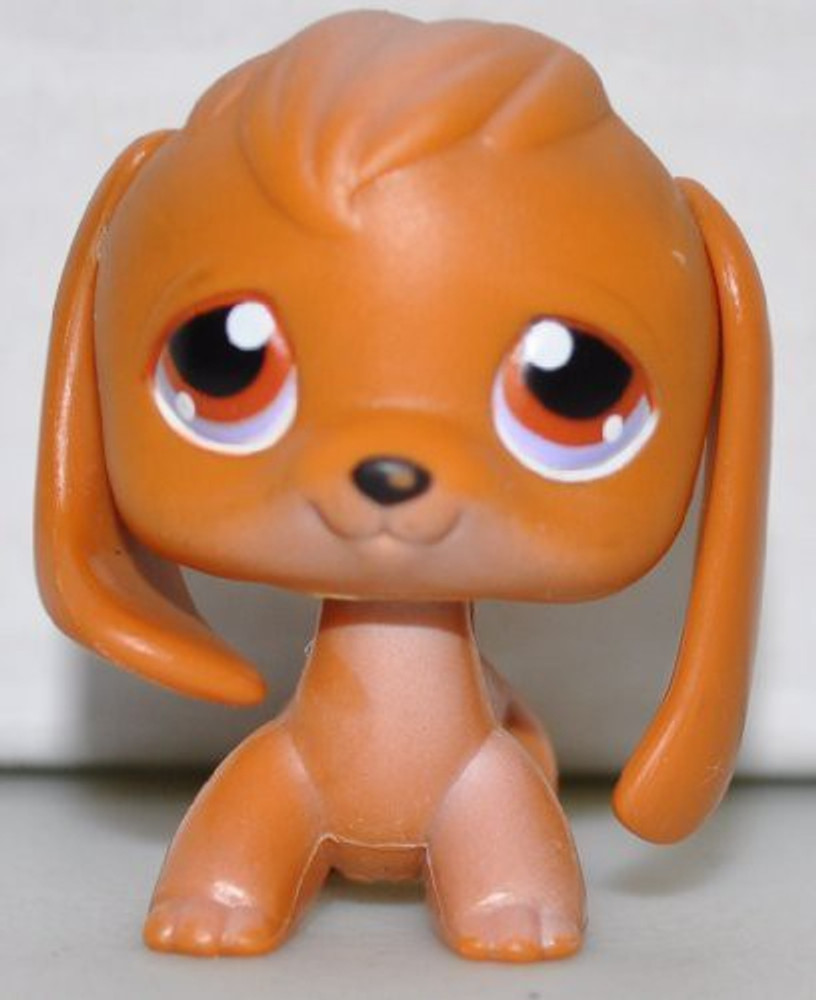 Littlest pet outlet shop magnet