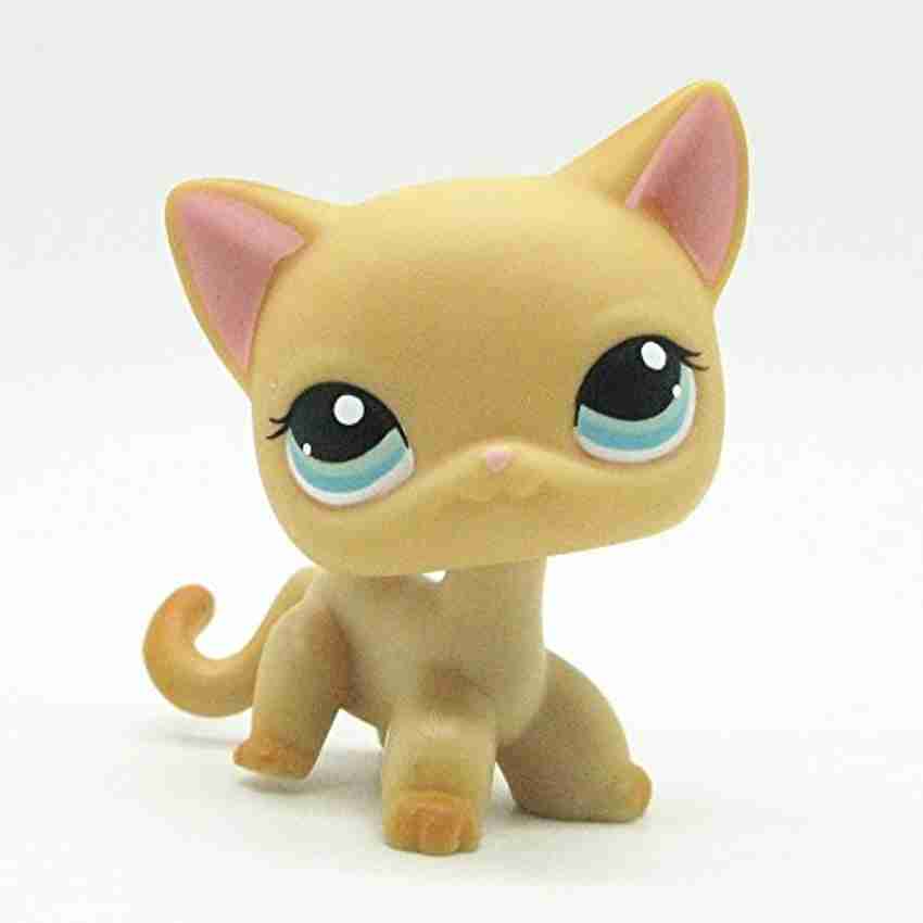 Orange sales cat lps