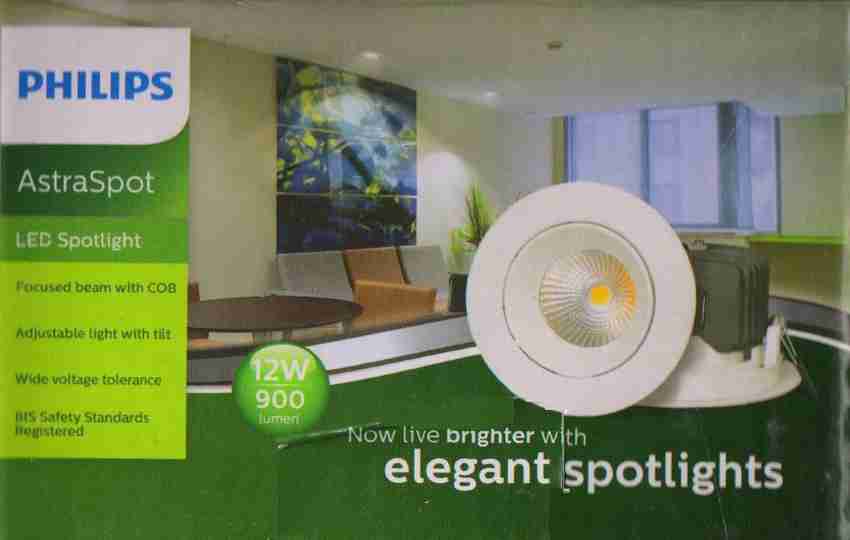 Philips astra cheap spot 12w