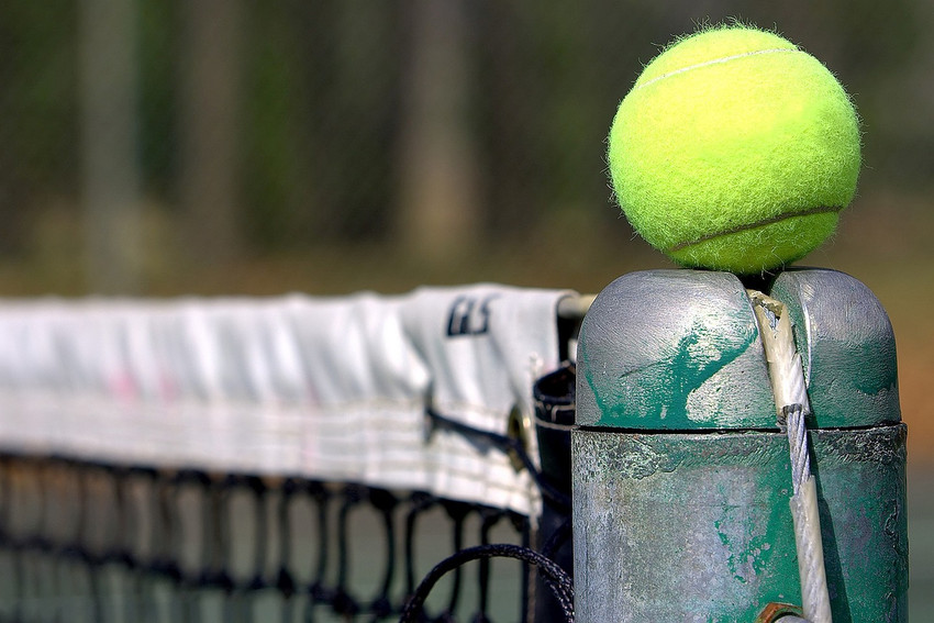 Sports Tennis Ball Wall Poster Paper Print Sports posters in