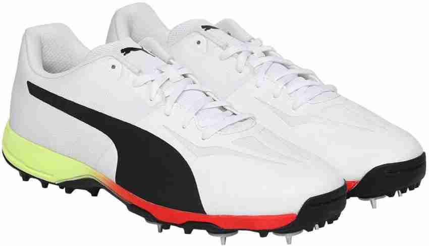 Puma evospeed best sale cricket shoes