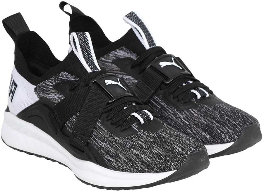 PUMA IGNITE evoKNIT Lo 2 Wn s Running Shoes For Women Buy PUMA IGNITE evoKNIT Lo 2 Wn s Running Shoes For Women Online at Best Price Shop Online for