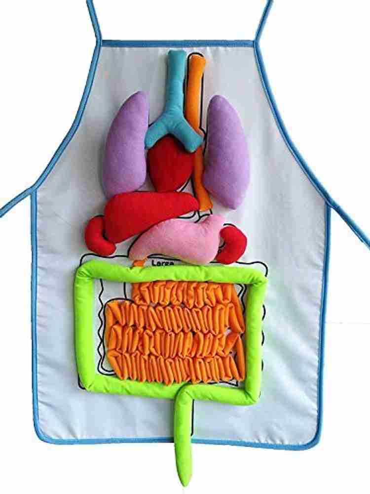 Aodicon What S Inside Me Anatomy Apron Human Body Organs Awareness
